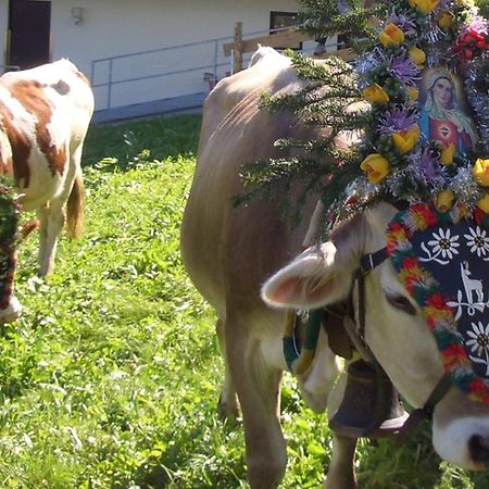 Hotel Gasthof Jaeger Zillertal Schlitters Eksteriør billede